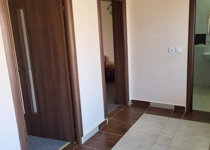 Roxana Casa de hóspedes Două Mai