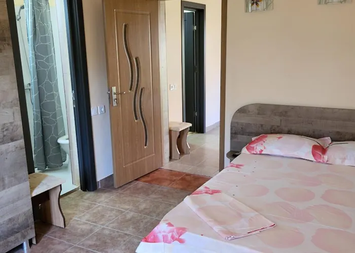 Casa de hóspedes Roxana Două Mai