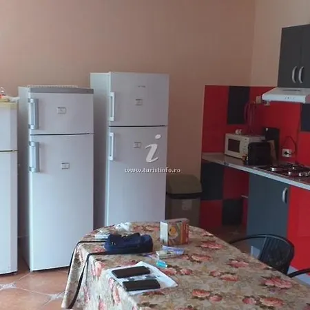 Casa de hóspedes Roxana *